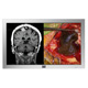Surgical display